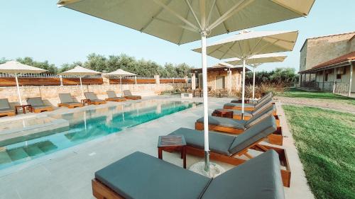 Gargaliani Villa | Entheon Olive Villas - Poolside Retreats