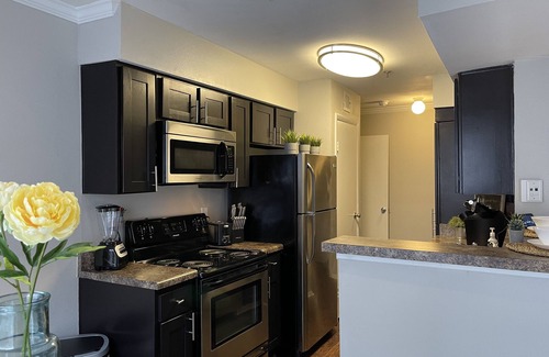 North Druid Hills Apartment | ENTIRE Cozy 1BR/1BA King Ste Condo + Free Parking + Controlled Access + Sleeps 4
