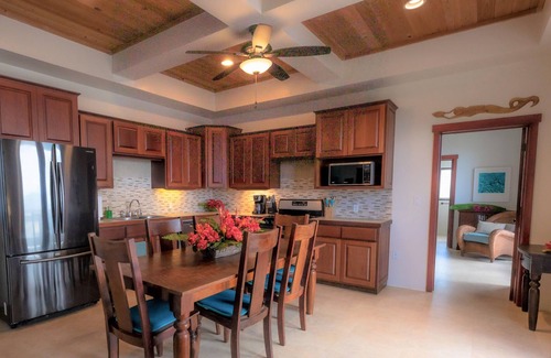 Estate Carolina Villa | EPIC views from every room! Large 2-Bed, 2-Bath with AC and Solar!