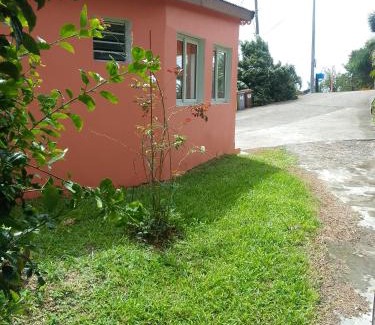 Lepinay House | EPINAY