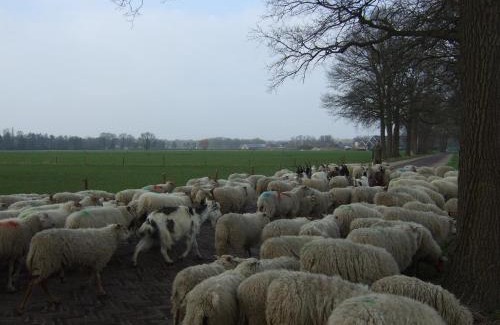 Municipality of Oisterwijk Bed & Breakfast | Erfgoed & Logies Den Heijkant