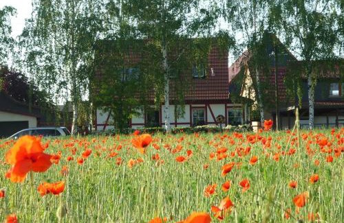 Utzberg House | Erpelhaus,Frühstück nicht inclusive