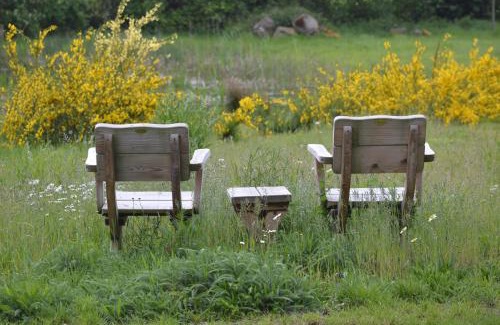 Deurningen Bed & Breakfast | Erve Grootenhuys