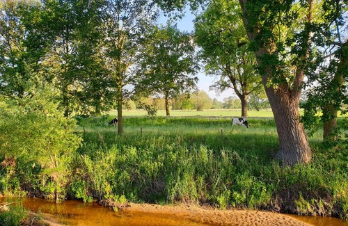 Losser Bed & Breakfast | Erve iemhorst