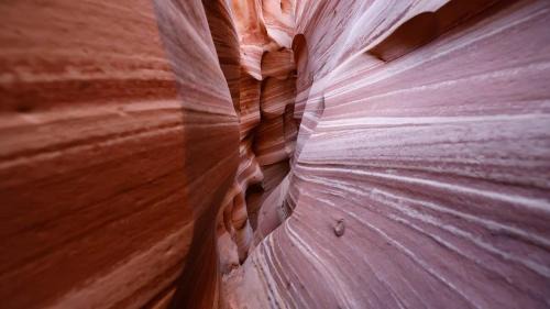 Escalante House | Escalante Escapes Tumble Weed- Bunk Escape