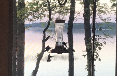 Squaw Lake Cabin | Escape to cozy, secluded lakefront cabin in the north woods