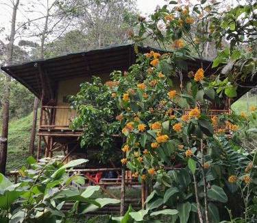 San Rafael Bed & Breakfast | ESTACION PARAISO DE DANTAS