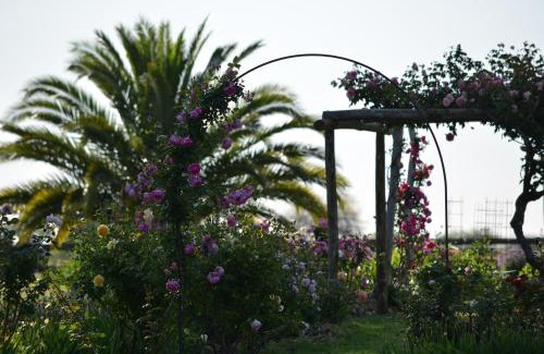 Paysandu Hotel | Estancia El Cangue