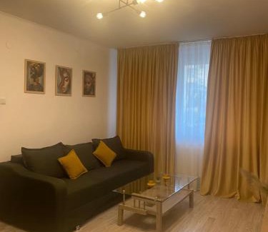Campulung Apartment | EVA - Apartament