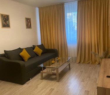 Campulung Apartment | EVA - Apartament