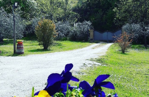Castel Viscardo House | Eva's house awaits you!