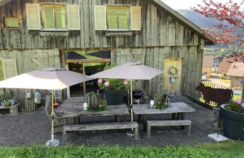Dalaas House | Evelyn's Hütte