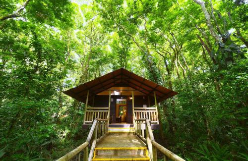 Tortuguero Cabin | Evergreen Lodge