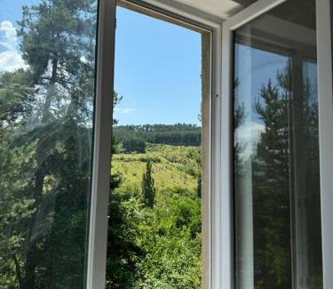 Tsromi Hotel | Evergreen Surami Hotel