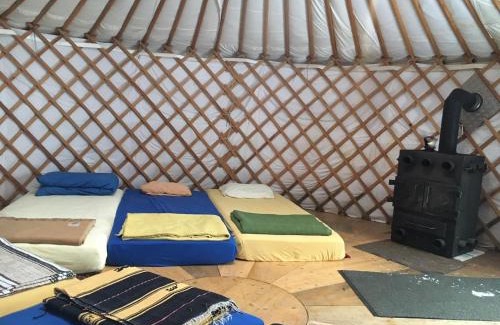 Oberhasli Bed & Breakfast | Evergrin
