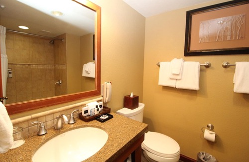 Olympic Valley Condo | Everline: 7th Floor Forest View Deluxe Queen Room