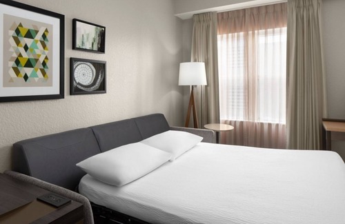 Oldsmar House | Everything You Need For The Perfect Vacation! Outdoor Heated Pool, Pet-friendly!