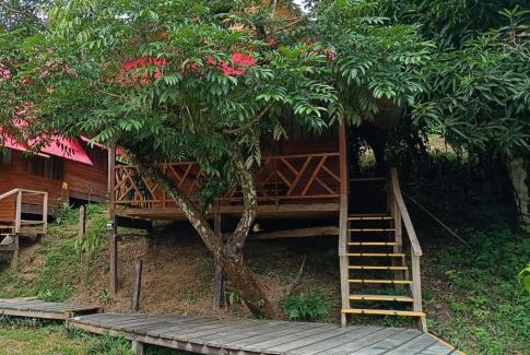 Puerto Narino Hotel | Eware Refugio Amazonico