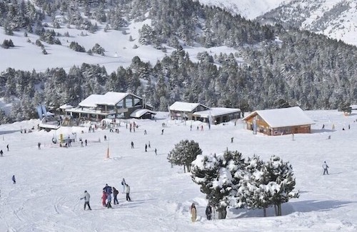 Bordes d'Envalira Apartment | Excellent Andorra apartment - Soldeu