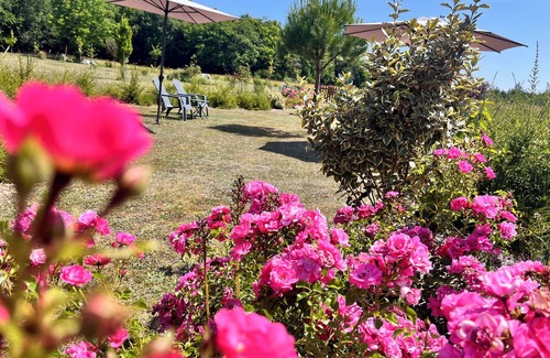Cellettes House | Exceptional B&B combining nature, history and conviviality