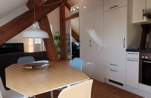 Klettgau Apartment | Exclusive penthouse - on the border to Switzerland. 30 min. Zurich or Rhine Falls
