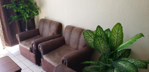 Zona 9 Apartment | Executive Apartment Guatemala City