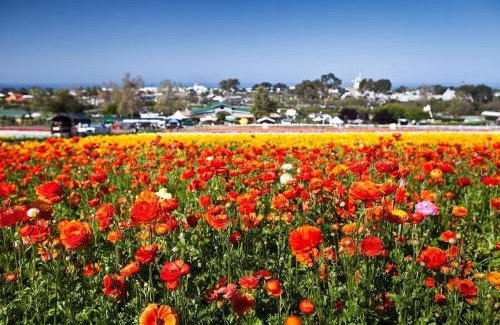 Carlsbad Apartment | Expansive Ocean View, Private Balcony, Across from Beach