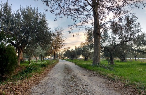 Re di Coppe Apartment | Experience a comfortable stay Mare e Monti in the colorful Abruzzo countryside