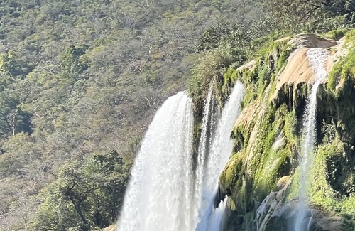 La Huasteca House | Experience Real Mexico at “El Logrado Huastecas”
