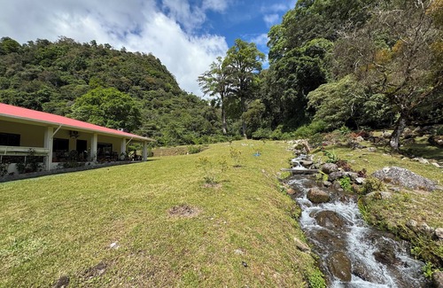 Nueva California House | Experience the spectacular natural beauty and tranquility of The Emerald Forest