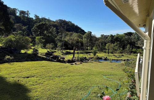 Nueva California House | Experience the spectacular natural beauty and tranquility of The Emerald Forest