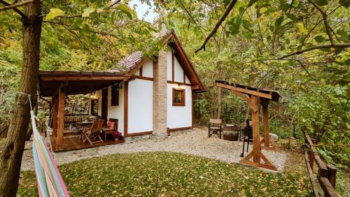 Stremt House | Explorers Dream - Transylvania