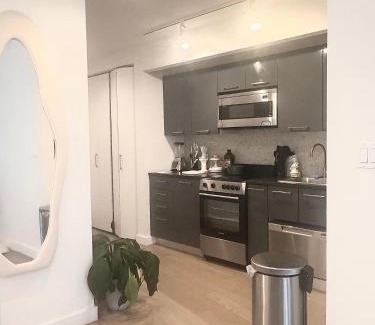 Financial District Apartment | Exquisite Urban Oasis: Luxury 1 Bedroom Retreat in Downtown Manhattan