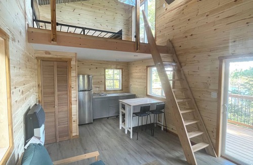 Kenora Cabin | Extremely private remote get away, nestled in the pine trees on pristine lake