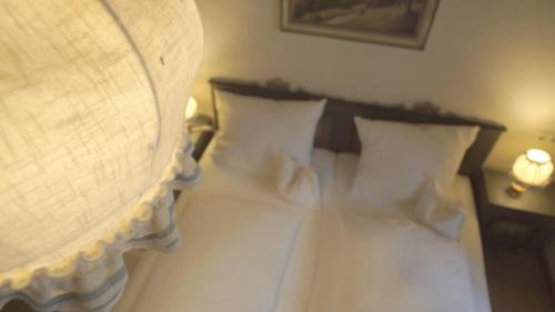 Waldshut-Tiengen Hotel | Fährhaus Hotel