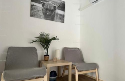 Tass Apartment | Félholdas Pagony Tass A apartman