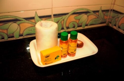 Attibele Hotel | FabExpress Prime Mayuri Residency