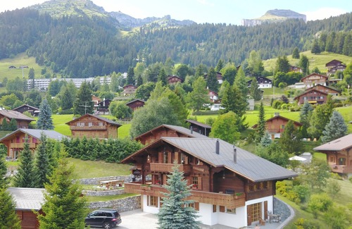 Leysin Ski Chalet | Fabulous chalet, stunning views , indoor jacuzzi, walking distance of ski lifts