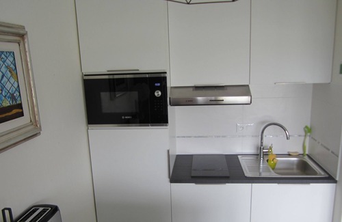 Penvenan Apartment | Facing Port Blanc beach, beautiful apartment with garden