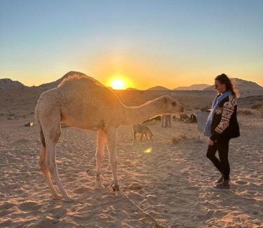Wadi Rum Other | Fadi camp