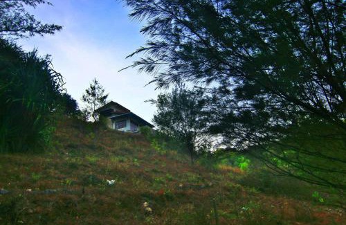Wonosari Villa | Fam Sugiono Cottage - Studio House