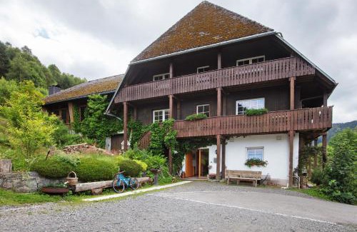 St. Blasien Apartment | Familien-Sportappartements Wetzel