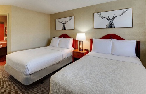 Galena Hotel | Family Adventure Awaits in Charming Galena! Indoor Pool | 2 Units