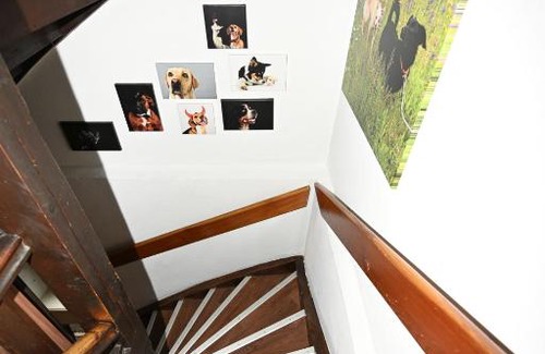 Imst Apartment | Family and Dog