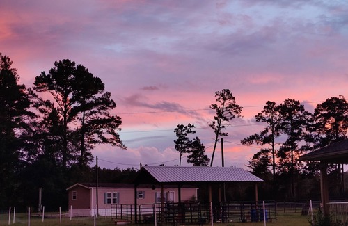 Wewahitchka House | Family-friendly animal farm and homesteading haven. Close to the Gulf Beaches.