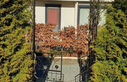 Wolfheze Ski Chalet | Family friendly chalet in the Veluwe, Gelderland, Wolfheze