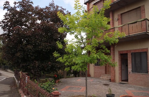Foiano della Chiana House | Family holiday home near the most beautiful cities in Tuscany