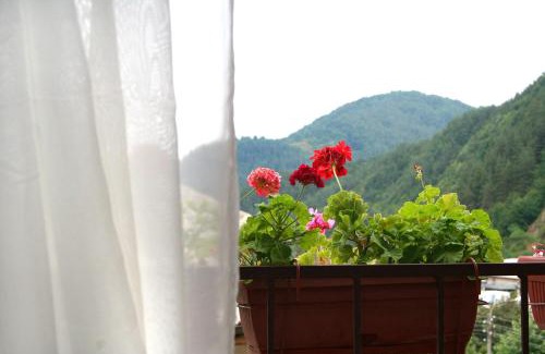 Zlatograd Hotel | Family Hotel Flora