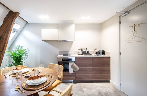 Schiedam Apartment | Family Penthouse from Rotterdam CS top floor rm 5