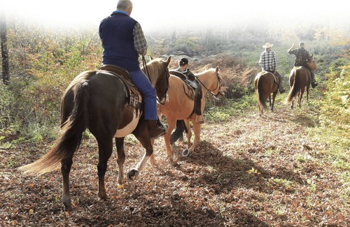 Kocevska Reka House | Family & Pet friendly Ranch Marina with horses